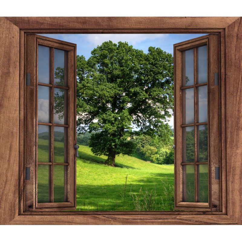 Okno príroda 
